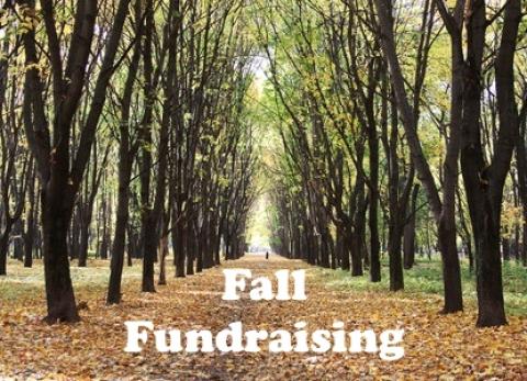 Fall Fundraising 2020