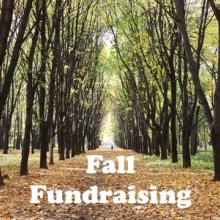 Fall Fundraising 2020