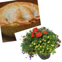 Planters & Pies!